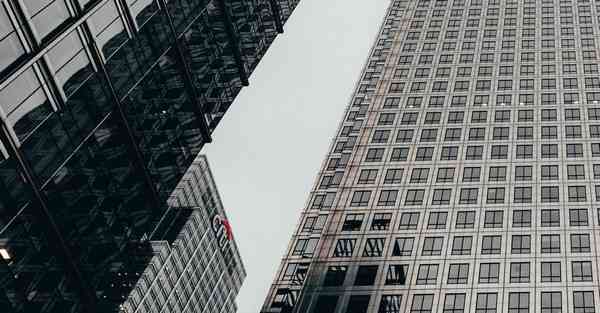 布谷外网加速器